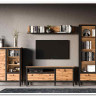 Гостиная Лофт (Loft) BRW заказать в интернет магазине по цене 58 330 руб. в Самаре