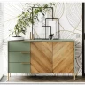 Витрина Siena REG1W1D дымчатый зеленый/дуб вотан BRW заказать в интернет магазине по цене 43 630 руб. в Самаре